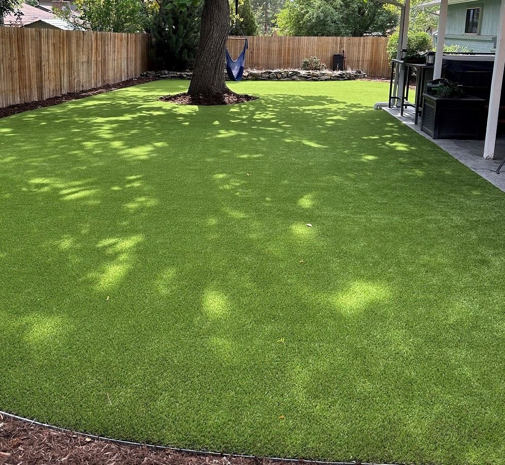 Finished backyard artificial turf in Westminster, CO