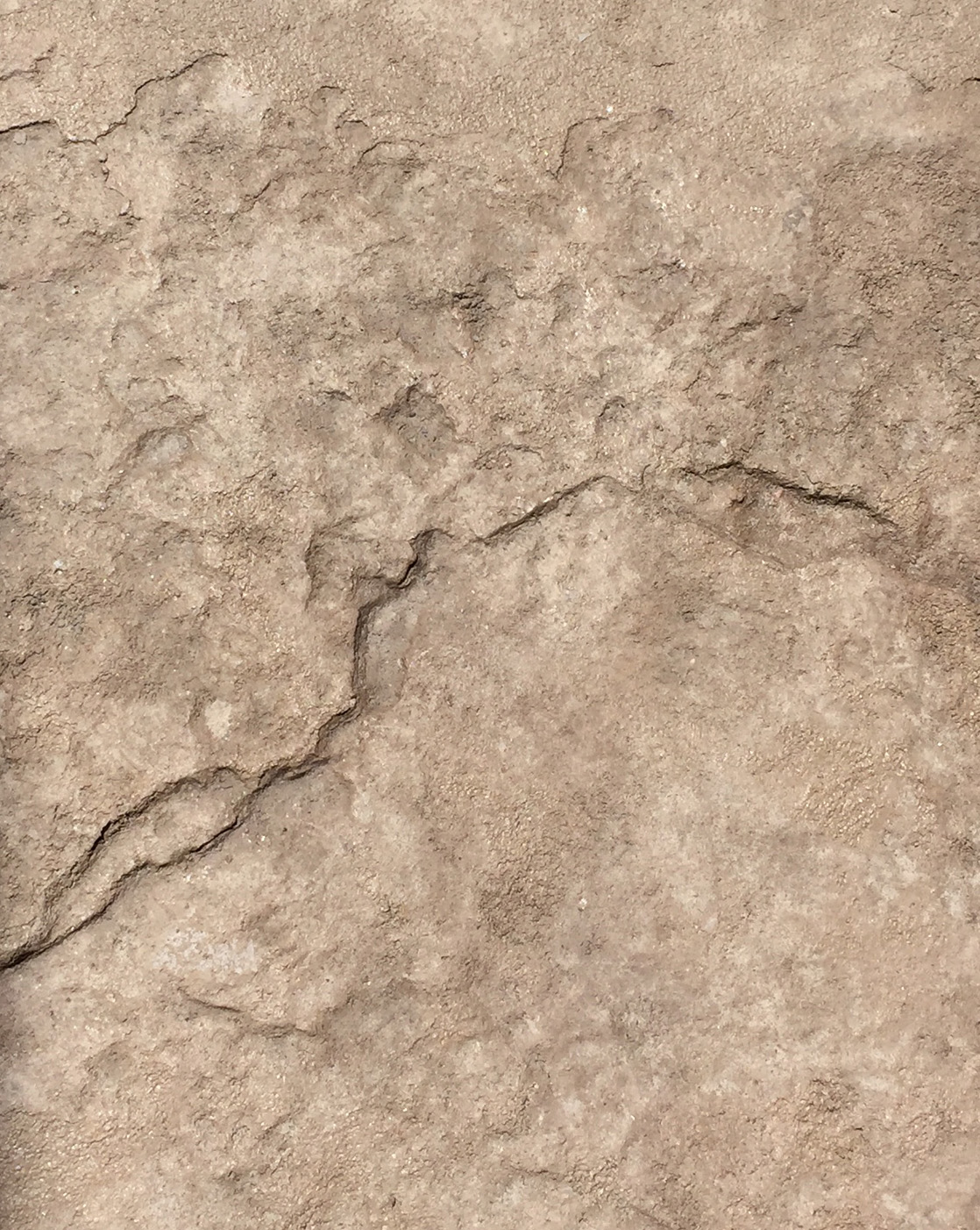 Heavy Texture Stamped Concrete